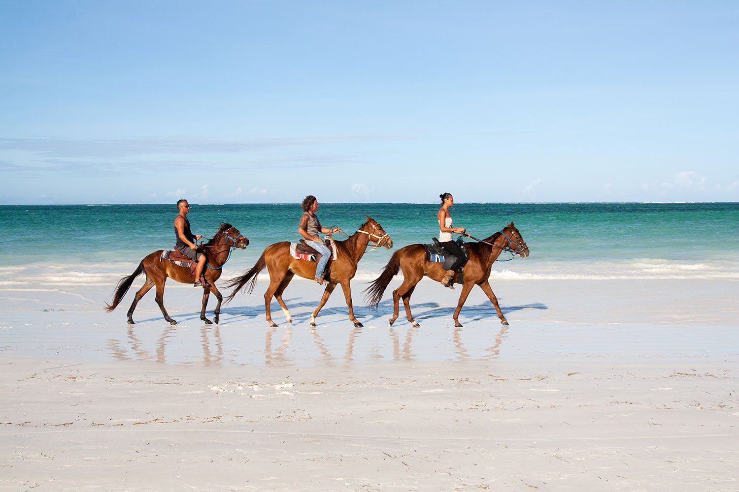 Horse Ridings Zakynthos
